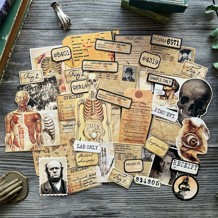 DIY Scrapbooking Vintage Doll  - đánh giá và giá Photography Journal