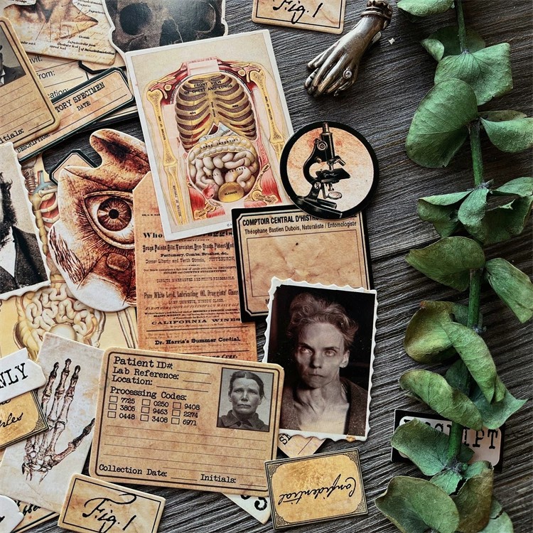 DIY Scrapbooking Vintage Doll  - đánh giá và giá Photography Journal