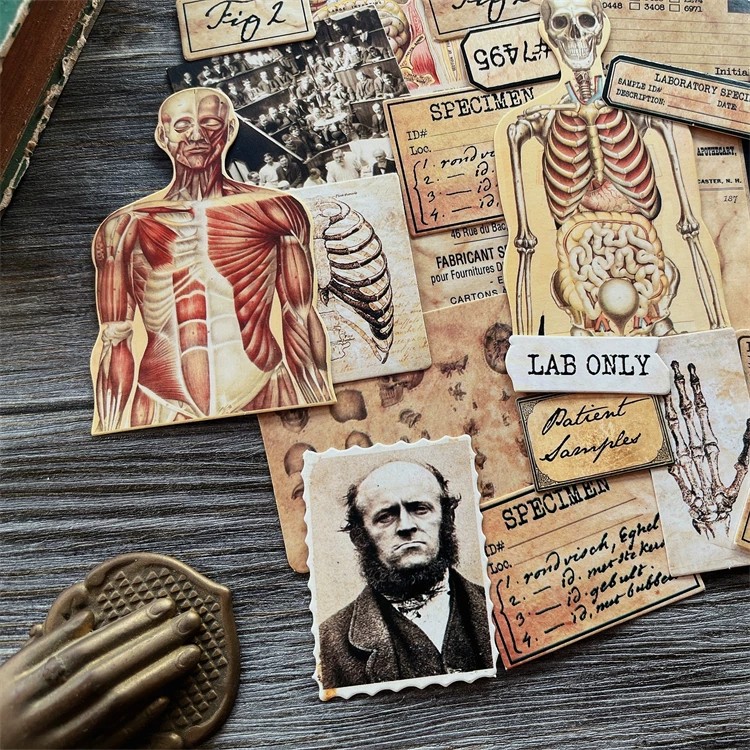 DIY Scrapbooking Vintage Doll  - đánh giá và giá Photography Journal