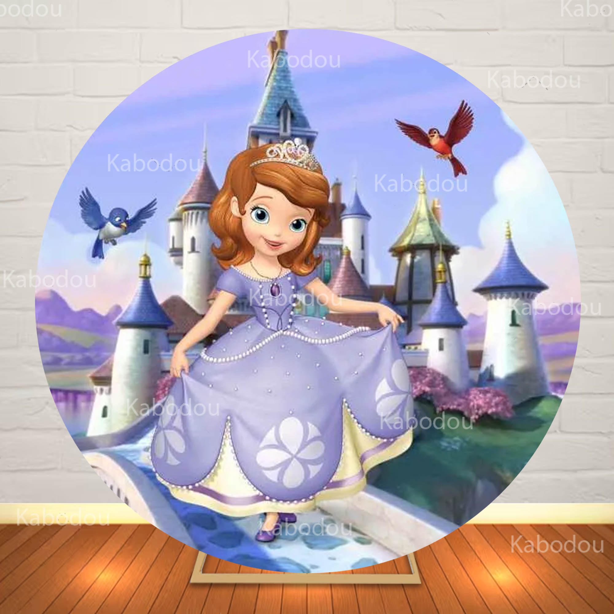 Sofia the First Round Backdrop - đánh giá và giá Photography Class