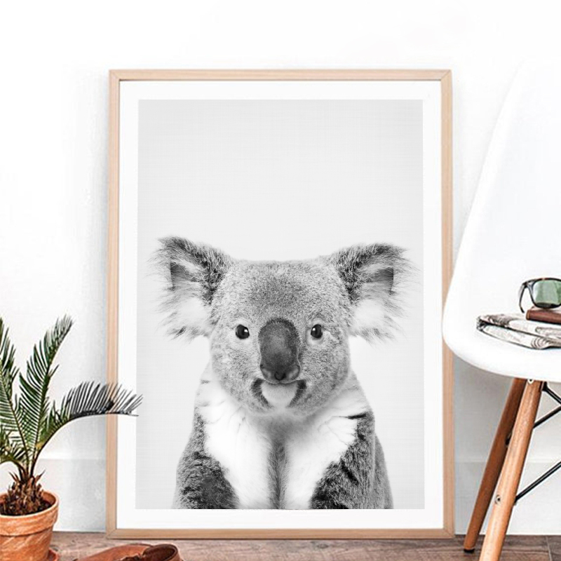 1pc frameless Koala Print Blac - đánh giá và giá Photography Zoo